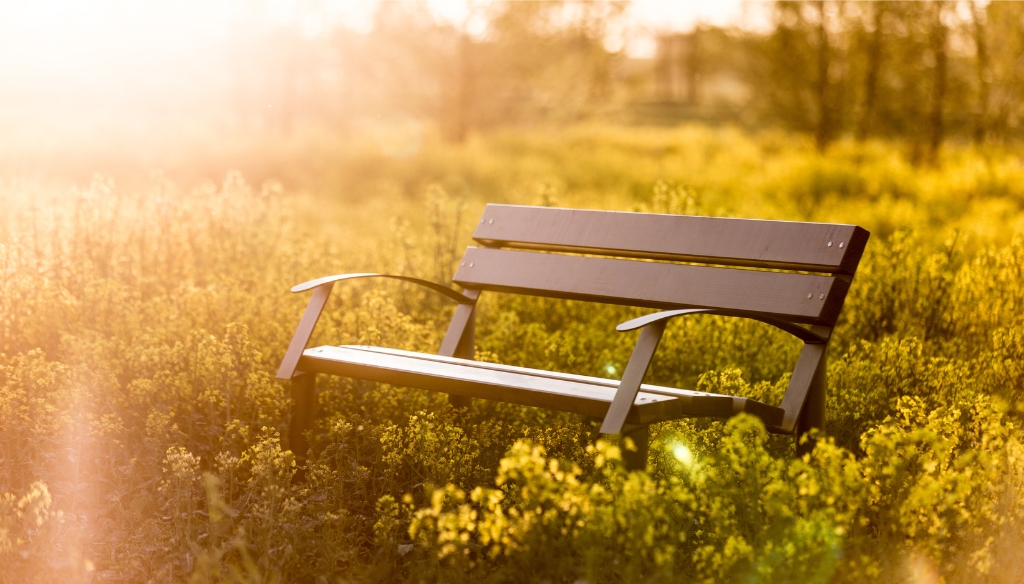 Ławka w ogrodzie sensorycznym