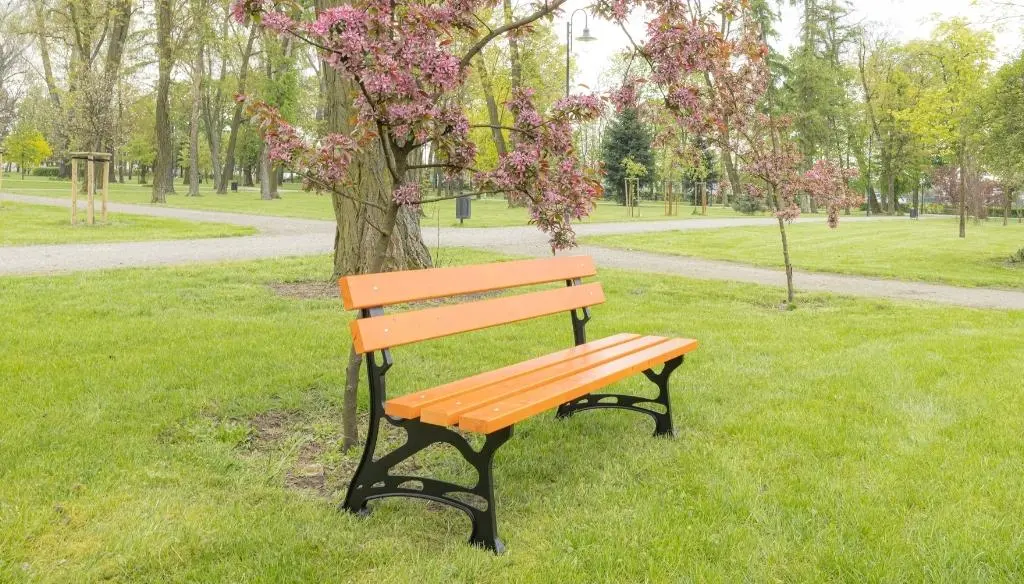 ławka ogrodowa pod drzewem w parku miejskim