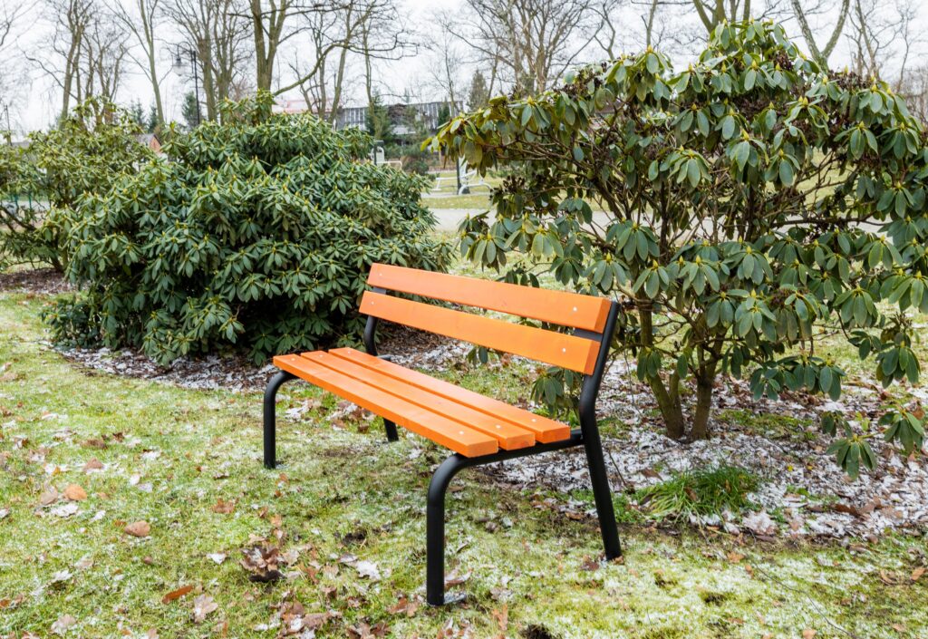 Ławka ogrodowa w jesienno-zimowej scenerii